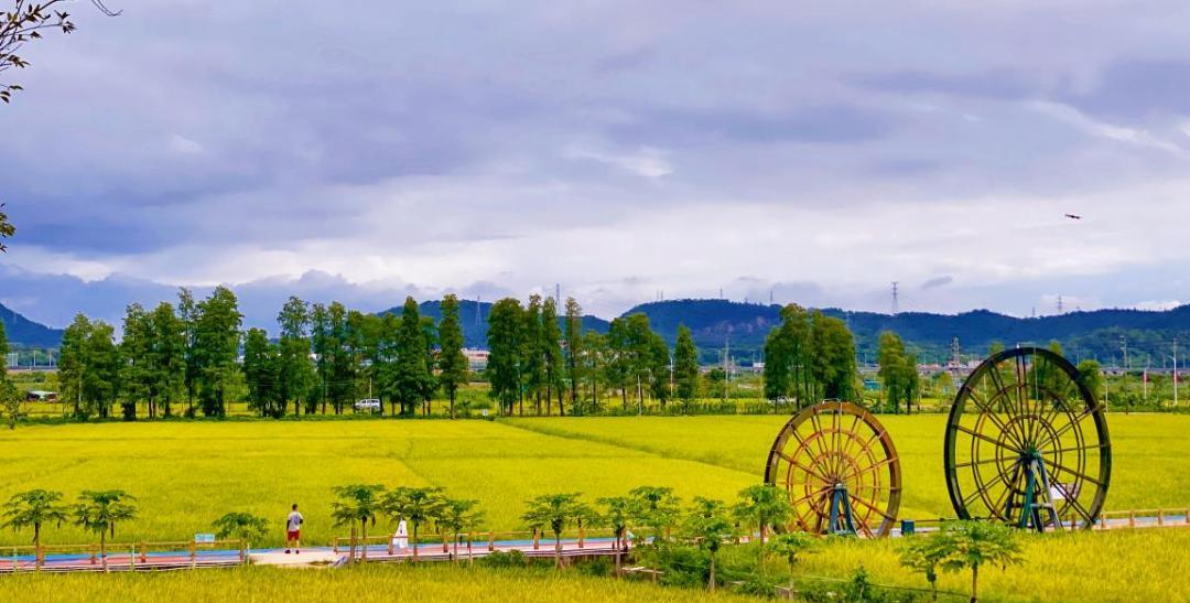 珠海中山自駕游到廣州路線_珠海到中山自駕游_中山珠海自駕游去哪里好玩