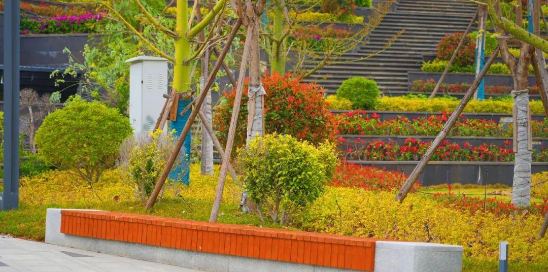 中軸線景觀B段工程打造的公園綠植環繞,市民在公園內漫步賞景 (1).jpg