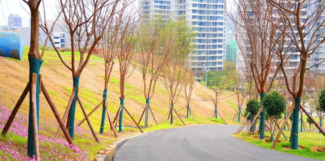 中軸線景觀A段工程 (2).jpg