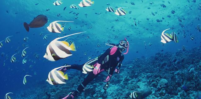 第一次去馬來西亞和新加坡怎么玩?看這篇就夠了!文末有驚喜