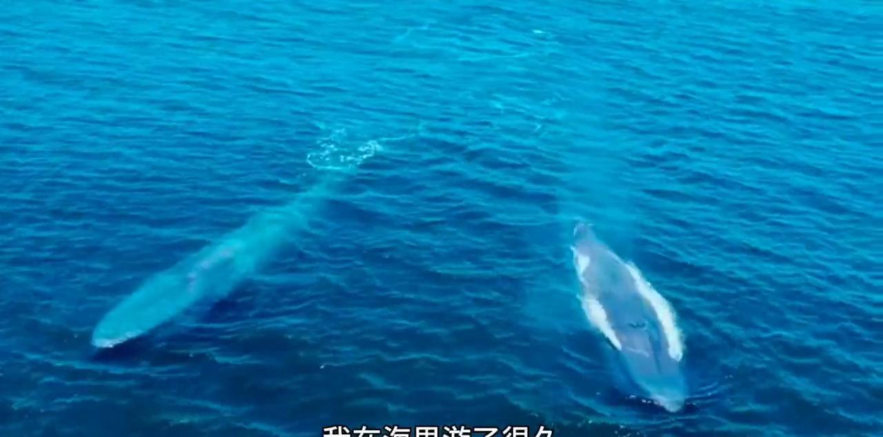 巴厘島旅游安全嗎_巴厘島旅游安全嗎2024_巴厘島旅游安全么