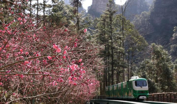 張家界必看景點推薦_張家界旅游攻略必去景點順序_張家界旅游必去景點