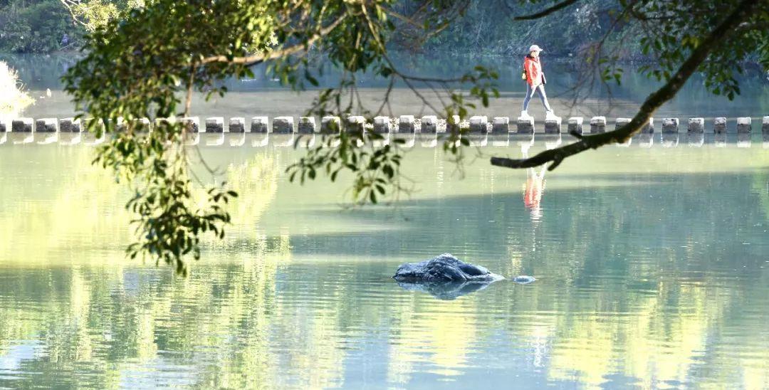 自駕春節游霞浦的感受_自駕游霞浦旅游攻略_春節霞浦自駕游