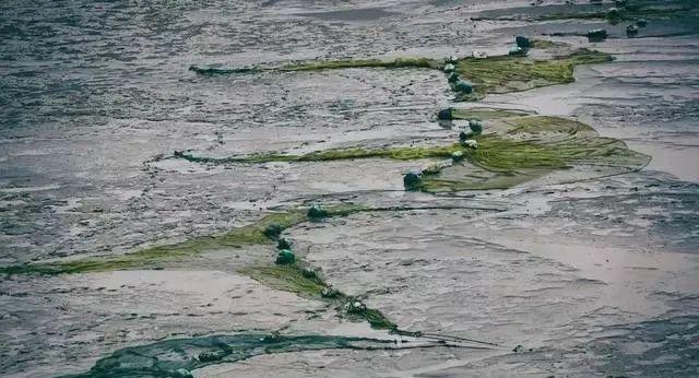 春節霞浦自駕游_自駕游霞浦旅游攻略_自駕春節游霞浦的感受