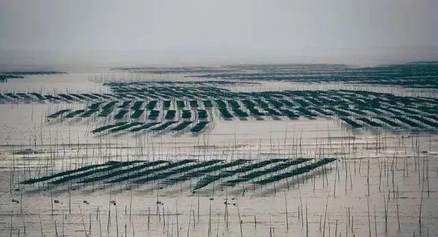 春節霞浦自駕游_自駕游霞浦旅游攻略_自駕春節游霞浦的感受