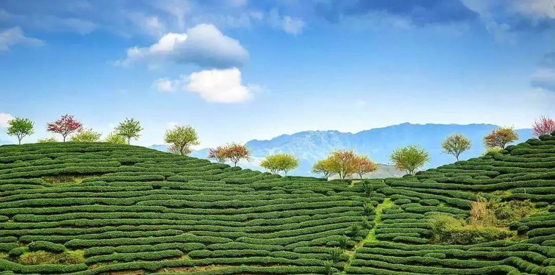 春節霞浦自駕游_自駕春節游霞浦的感受_自駕游霞浦旅游攻略