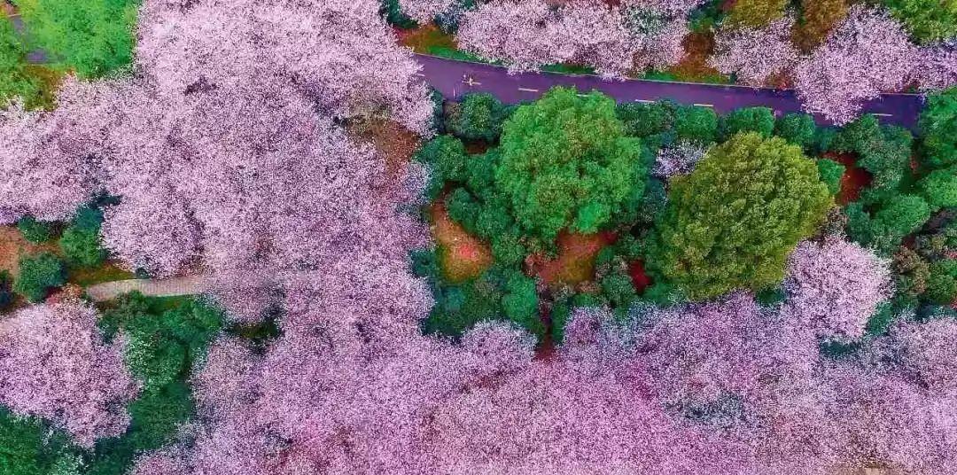 春節霞浦自駕游_自駕游霞浦旅游攻略_自駕春節游霞浦的感受