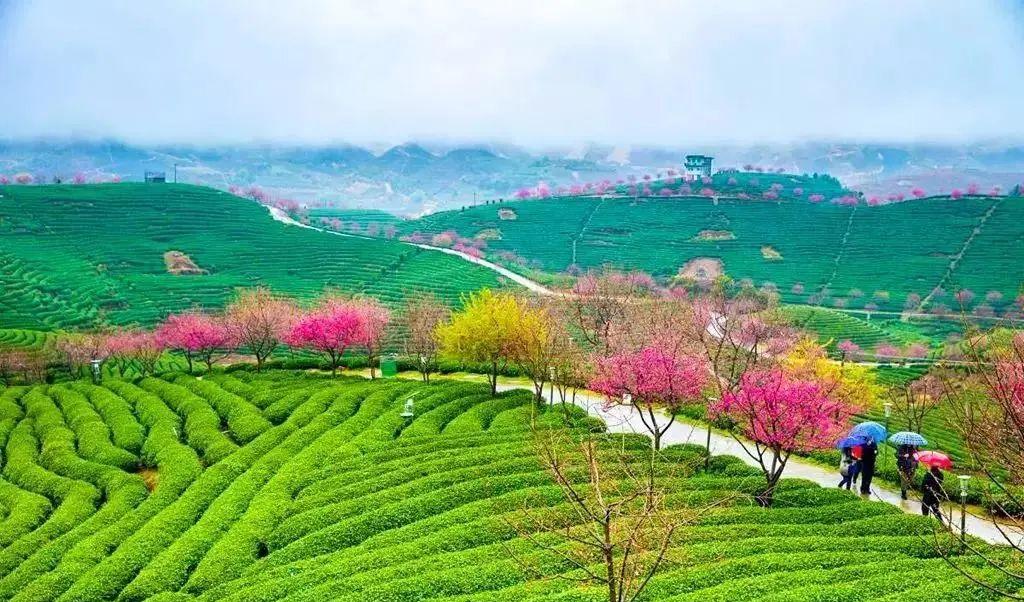 自駕春節游霞浦的感受_自駕游霞浦旅游攻略_春節霞浦自駕游