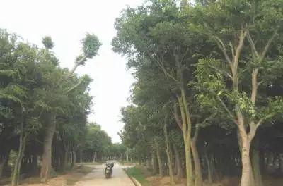 江都火車站在哪_我想看江都火車站_江都火車站在什么位置