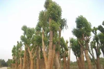 江都火車站在什么位置_江都火車站在哪_我想看江都火車站