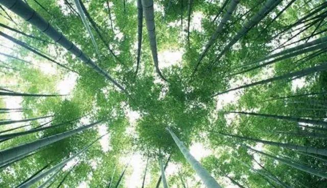 我想看江都火車站_江都火車站在哪_江都火車站在什么位置