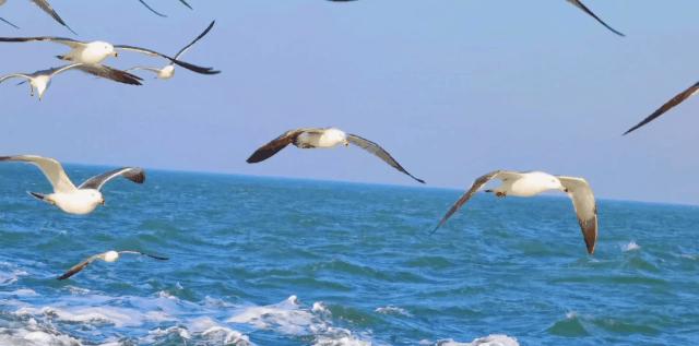 火山島旅游度假風景區_火山島旅游景點_火山島旅游