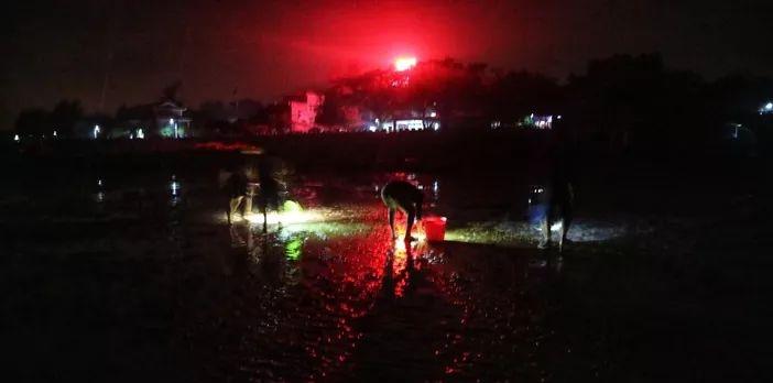 京族三島自由行_京族三島旅游攻略_京族三島自駕游