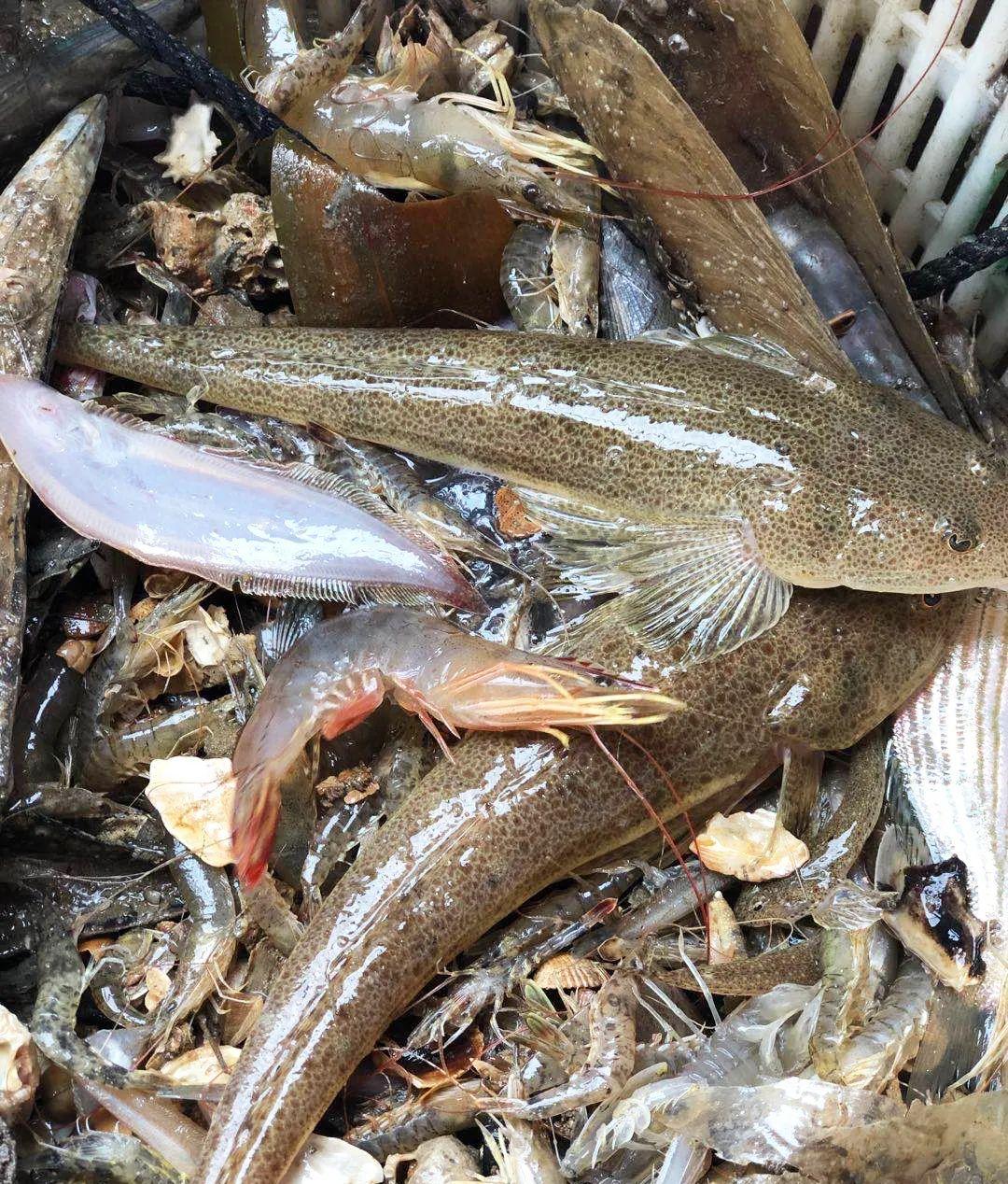 京族三島自駕游_京族三島自由行_京族三島旅游攻略