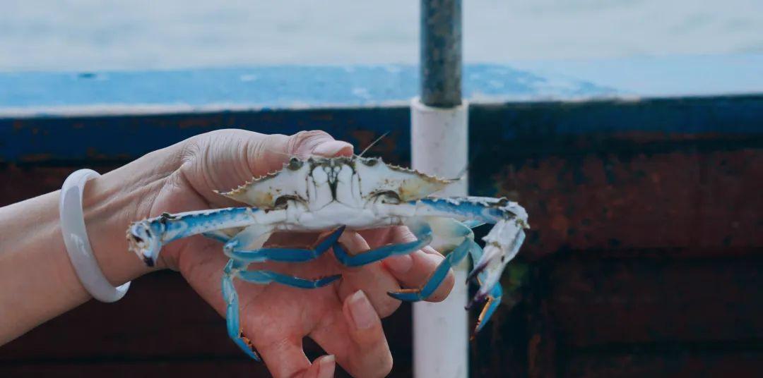 京族三島自由行_京族三島自駕游_京族三島旅游攻略