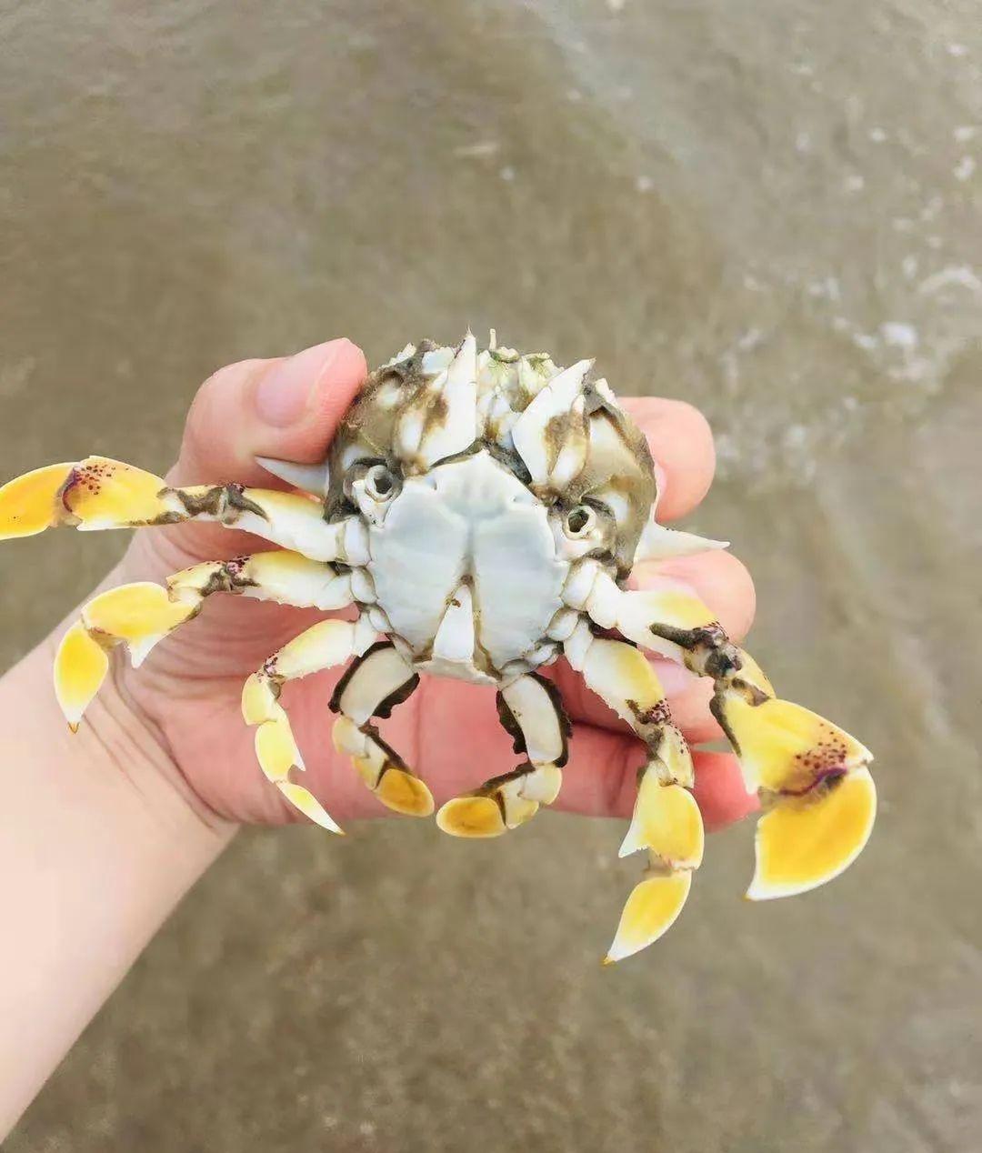 京族三島自由行_京族三島旅游攻略_京族三島自駕游