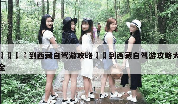 到西藏自駕游攻略?到西藏自駕游攻略大全-第1張圖片-攻略分享