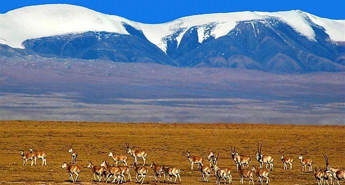 自駕固原攻略_自駕游固原到西昌市路線_固原自駕游