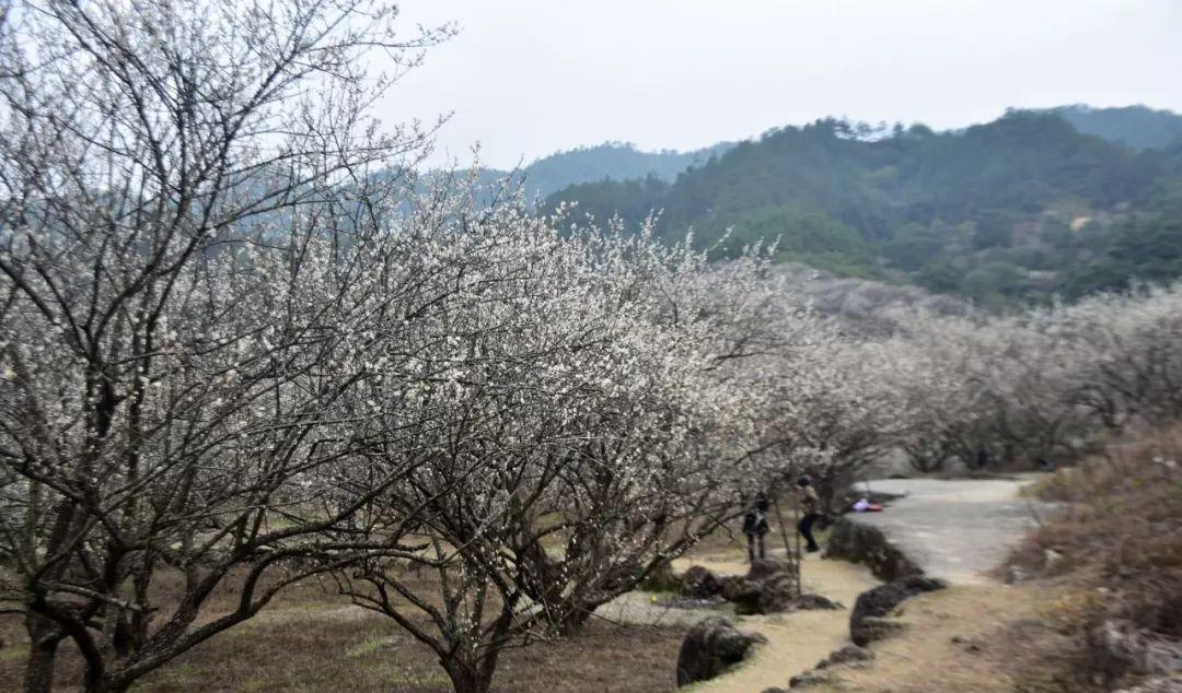 汕尾旅游景點_汕尾旅游推薦_汕尾景點推薦