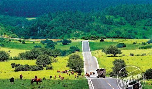 自駕路線成都游瀘沽湖攻略_成都瀘沽湖自駕游路線_成都自駕瀘沽湖路況如何