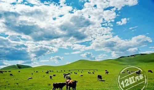 成都瀘沽湖自駕游路線_自駕路線成都游瀘沽湖攻略_成都自駕瀘沽湖路況如何