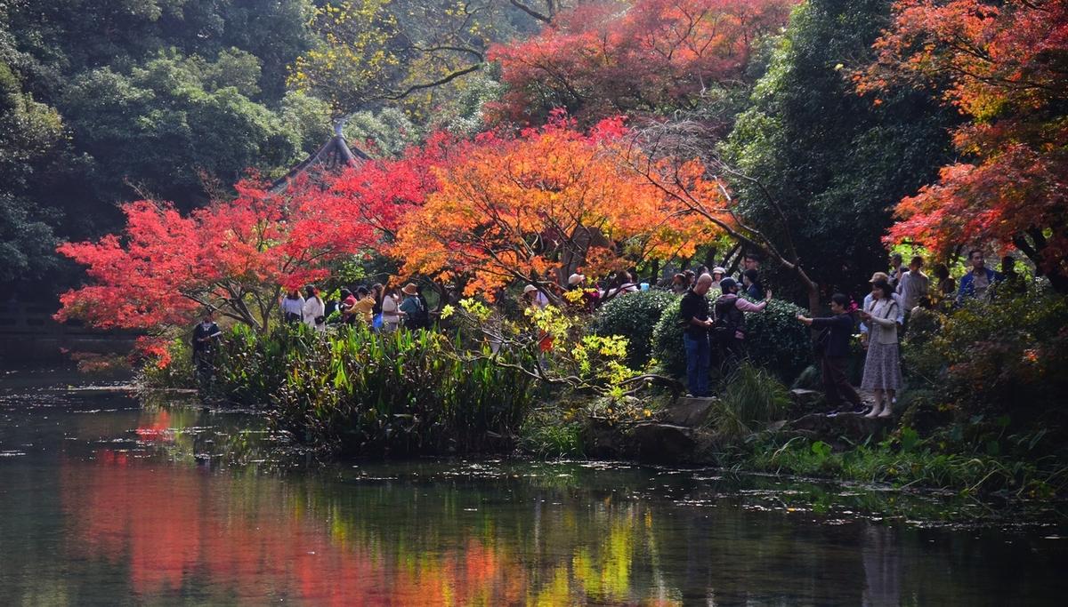 杭州旅游業(yè)_杭州旅游旅游_2020杭州旅游