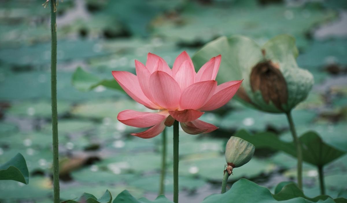 2020杭州旅游_杭州旅游旅游_杭州旅游業(yè)