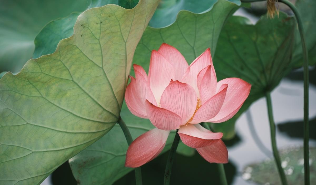 杭州旅游業(yè)_杭州旅游旅游_2020杭州旅游