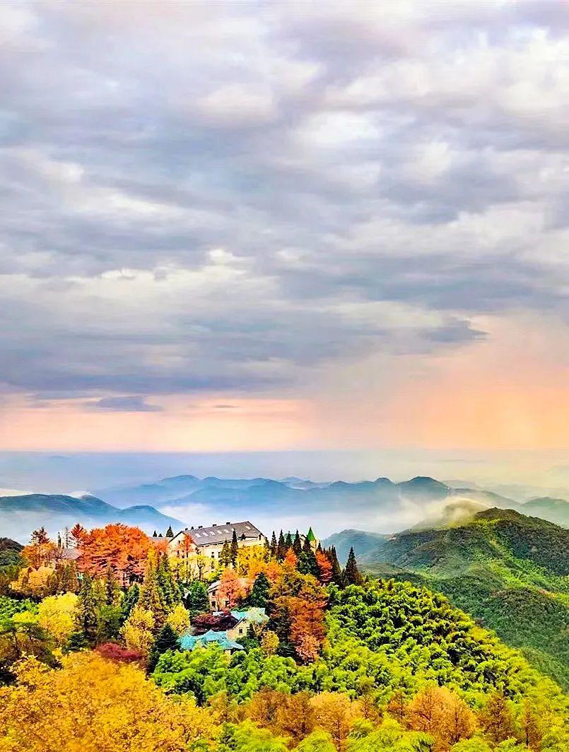 蘇杭上海旅游最佳路線_蘇杭上海旅游攻略_蘇杭上海自由行攻略