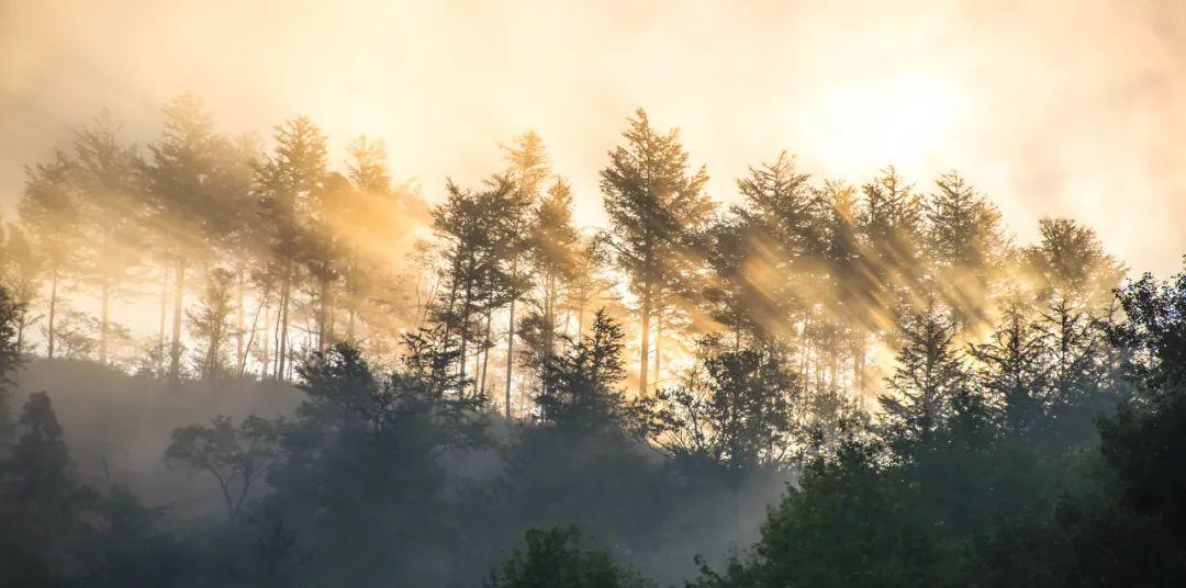 蘇杭上海自由行攻略_蘇杭上海旅游攻略_蘇杭上海旅游最佳路線