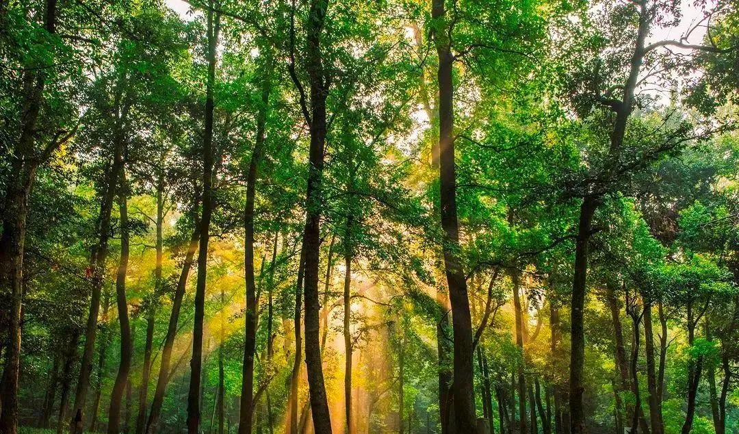 蘇杭上海旅游最佳路線_蘇杭上海自由行攻略_蘇杭上海旅游攻略