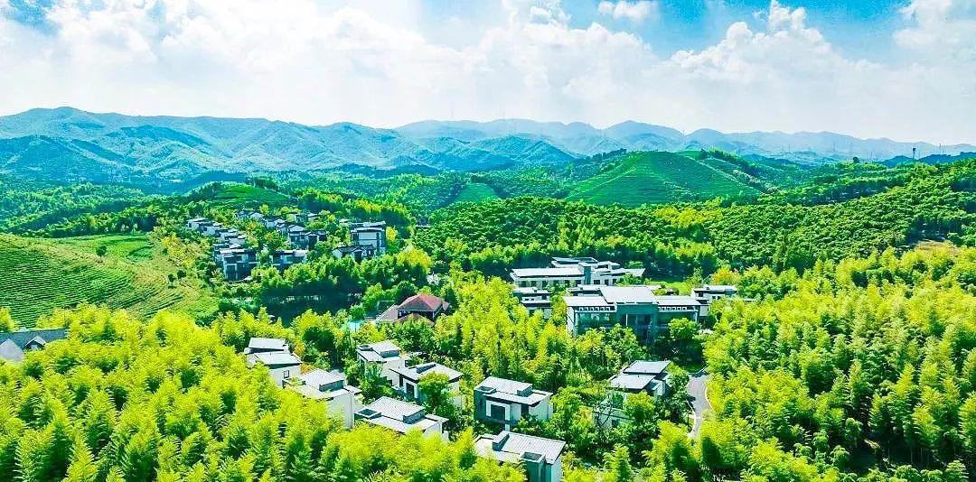 蘇杭上海旅游最佳路線_蘇杭上海旅游攻略_蘇杭上海自由行攻略