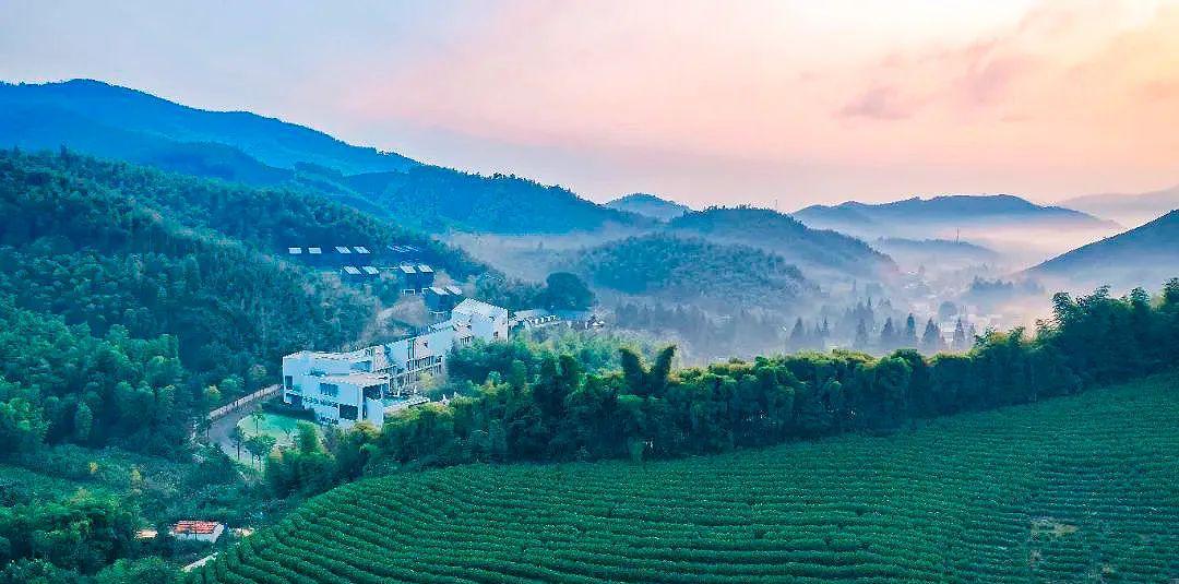 蘇杭上海旅游攻略_蘇杭上海自由行攻略_蘇杭上海旅游最佳路線