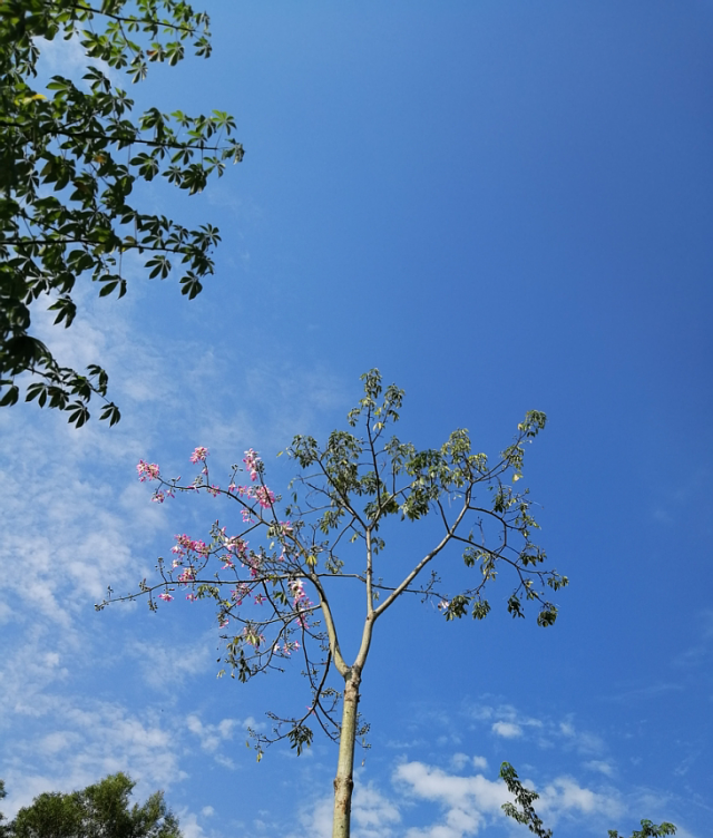 勝景旅游廣東有限公司_勝景旅游發展有限公司_勝景旅游