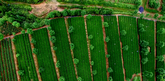 勝景旅游_勝景旅游發展有限公司_勝景旅游廣東有限公司