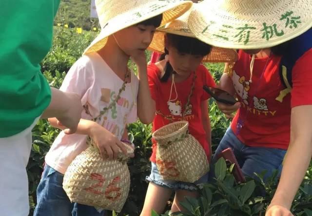 勝景旅游_勝景旅游發展有限公司_勝景旅游廣東有限公司