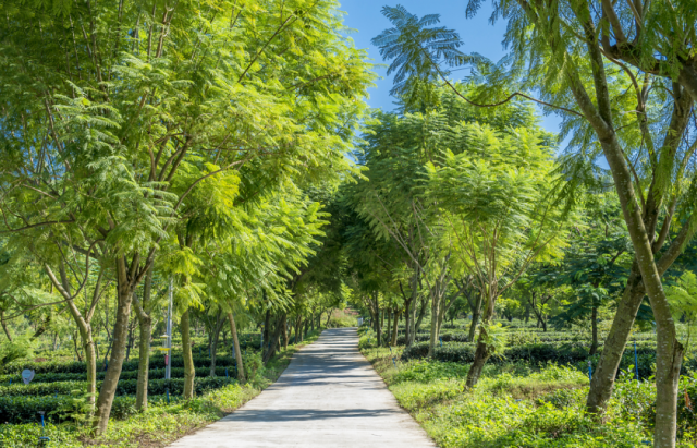 勝景旅游_勝景旅游發展有限公司_勝景旅游廣東有限公司