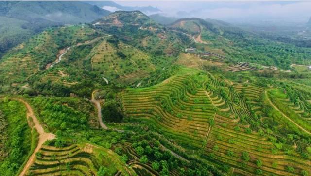 勝景旅游_勝景旅游廣東有限公司_勝景旅游發展有限公司