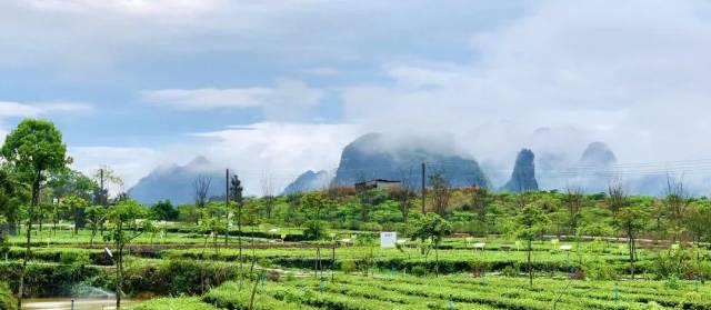 勝景旅游發展有限公司_勝景旅游廣東有限公司_勝景旅游