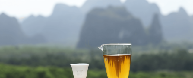 勝景旅游_勝景旅游廣東有限公司_勝景旅游發展有限公司