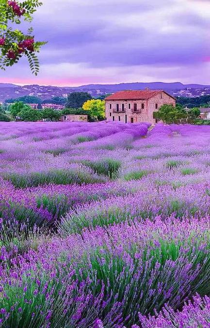 墨爾本自駕游攻略_墨爾本旅行攻略_墨爾本自由行攻略