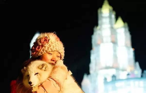 哈爾濱旅游攻略必玩的景點_哈爾濱攻略旅游攻略_哈爾濱旅游攻略