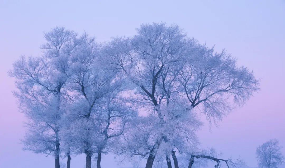 哈爾濱攻略旅游景點大全_哈爾濱攻略旅游攻略_哈爾濱旅游攻略