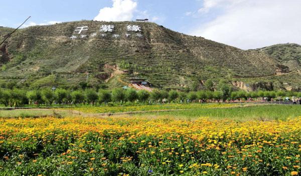 西寧千紫緣農業科技博覽園:現代農業與親子游玩的絕佳去處