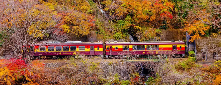 沈陽到莫斯科火車_沈陽至莫斯科火車_沈陽到莫斯科火車k19