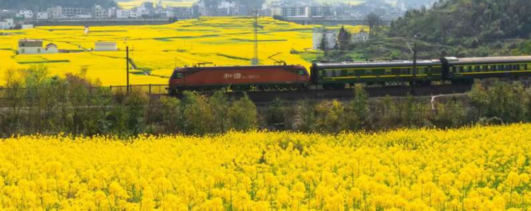 沈陽到莫斯科火車_沈陽至莫斯科火車_沈陽到莫斯科火車k19