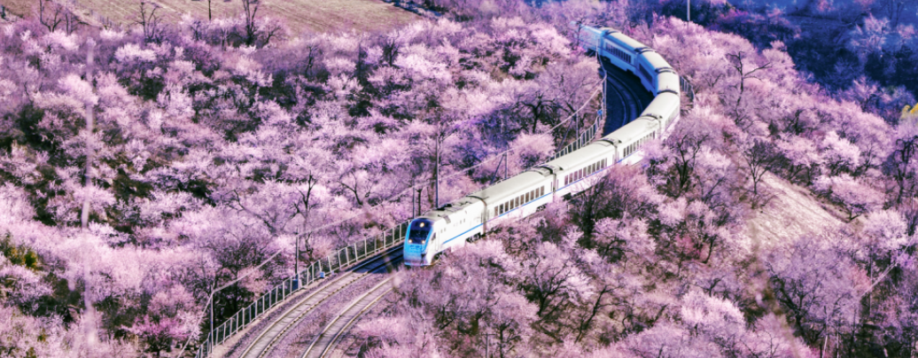 沈陽到莫斯科火車_沈陽至莫斯科火車_沈陽到莫斯科火車k19