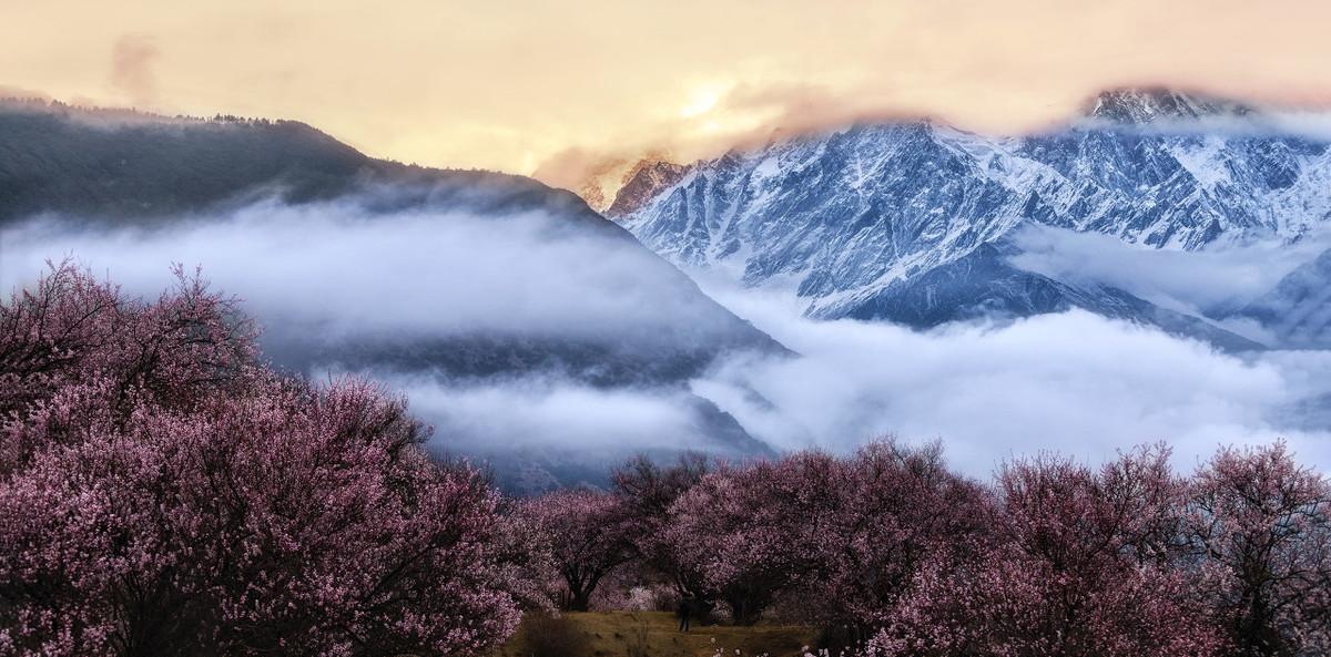 拉薩火車直達城市_坐火車到拉薩_拉薩火車坐到哪個車站