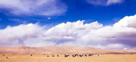 拉薩火車直達城市_拉薩火車坐到哪個車站_坐火車到拉薩