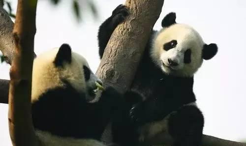 義烏到成都的火車_義烏到成都火車_義烏到成都坐火車多少公里